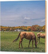 Maryland Pastures #1 Wood Print