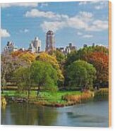 New York City Manhattan Central Park Panorama #1 Wood Print