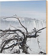 Niagara Falls #1 Wood Print