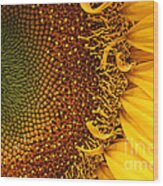 O Sunflower #2 Wood Print