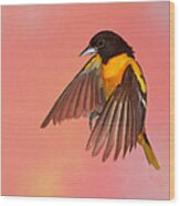 Oh Oh Oriole #1 Wood Print