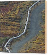 Oil Pipeline Crossing Taiga Alaska #1 Wood Print