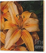 Orange Lilies Wood Print