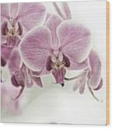 Orchid Pink Vintage Wood Print