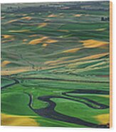 Palouse Hills #1 Wood Print