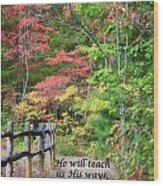 Path In Autumn Scripture #1 Wood Print