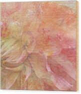Peach Dahlia #1 Wood Print