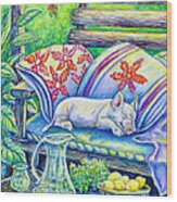 Pig On A Porch Wood Print