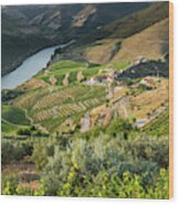 Portugal, Douro Valley, Douro River #1 Wood Print