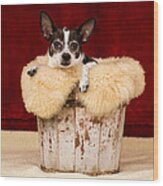 Puppy In The Bucket  #1 Wood Print