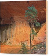Red Cliffs And Conifers #1 Wood Print