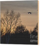 Red Crowned Crane At Sunset #2 Wood Print