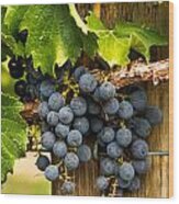 Red Wine Grapes #1 Wood Print