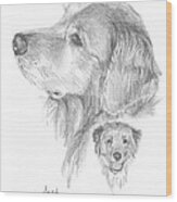 Retriever Dog Pencil Portrait Wood Print