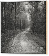 Road Way In Deep Forest #1 Wood Print