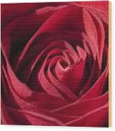 Rose Red #1 Wood Print