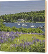 Round Pond Lupine Flowers On The Coast Of Maine #1 Wood Print