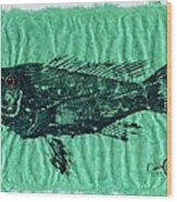 Sea Bass On Aegean Green Thai Unryu Paper #2 Wood Print