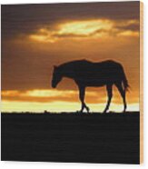Silhouette Of Horse At Sunrise #1 Wood Print