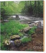 Smoky Mountain Stream 2009 #1 Wood Print