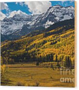Sneffels Range Autumn - Dallas Divide - Colorado #2 Wood Print