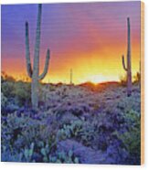 Sonoran Desert At Dusk #3 Wood Print