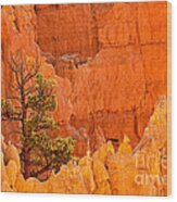 Sunset Point Bryce Canyon National Park #1 Wood Print