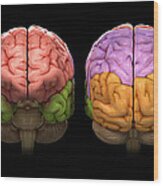 The Human Brain #1 Wood Print