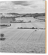 The Meon Valley #2 Wood Print