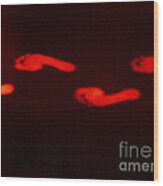 Thermogram Of Thermal Footprints #1 Wood Print