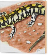 Tiger Salamander #1 Wood Print