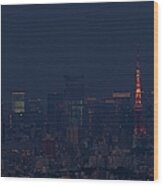 Tokyo Tower #1 Wood Print