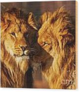 Two Lions Close Together #1 Wood Print