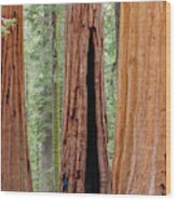 Usa, California, Sequoia National Park #1 Wood Print