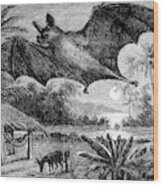 Vampire Bat, 1898 #1 Wood Print