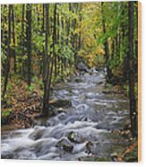 Vermont Stream Wood Print
