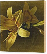 Vintage Yellow Lily Wood Print