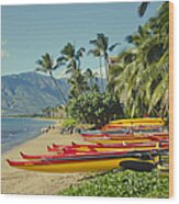 Ka Lae Pohaku Beach Park Kenolio Kihei Maui Hawaii Wood Print