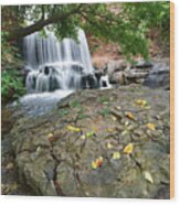 Waterfall Tanyard Creek Arkansas #1 Wood Print
