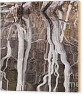 Weathered Dead Wood Mirrored On Rippled Surface #1 Wood Print