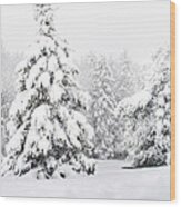 Winter Landscape Wood Print