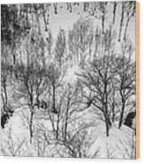 Winter Scene Shiga Japan #1 Wood Print