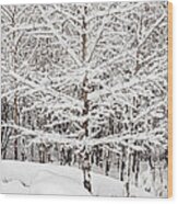 Winter Storm Print #1 Wood Print