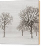 Winter Trees In Fog 9 Wood Print