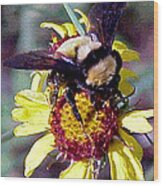 Worker Bee #1 Wood Print