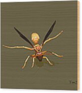 Yellow Jacket Wasp #1 Wood Print