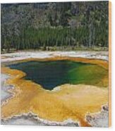 Yellowstone Emerald Pool #1 Wood Print