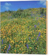 California Poppies Eschscholzia #10 Wood Print
