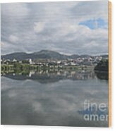 Douro River Valley #10 Wood Print