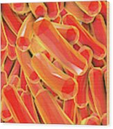 Rod-shaped Bacteria #10 Wood Print